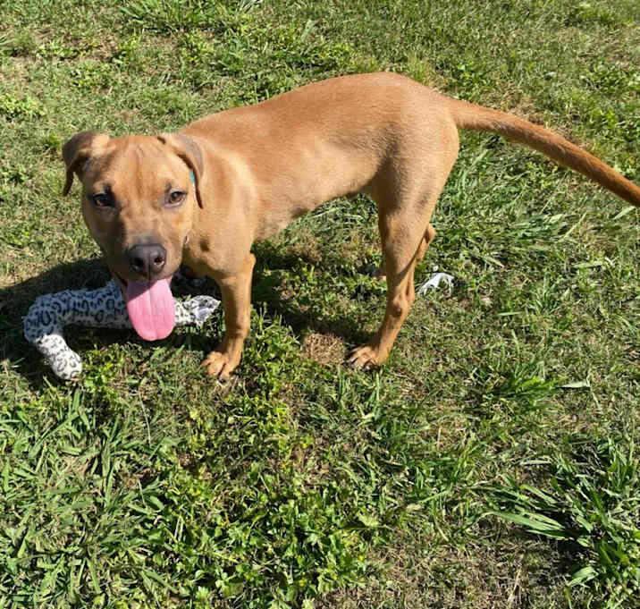 Photo of TITI