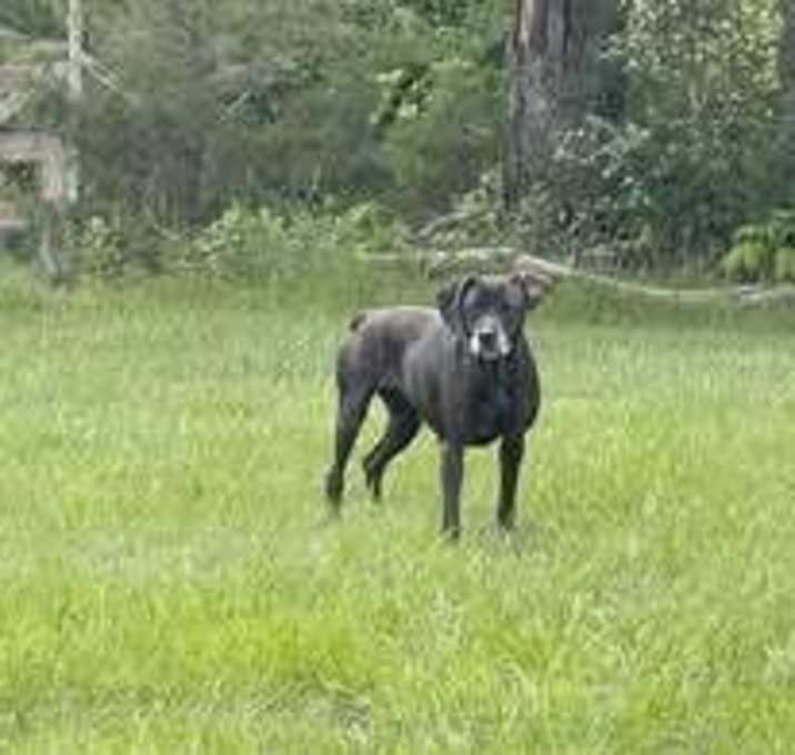 Photo of Sally