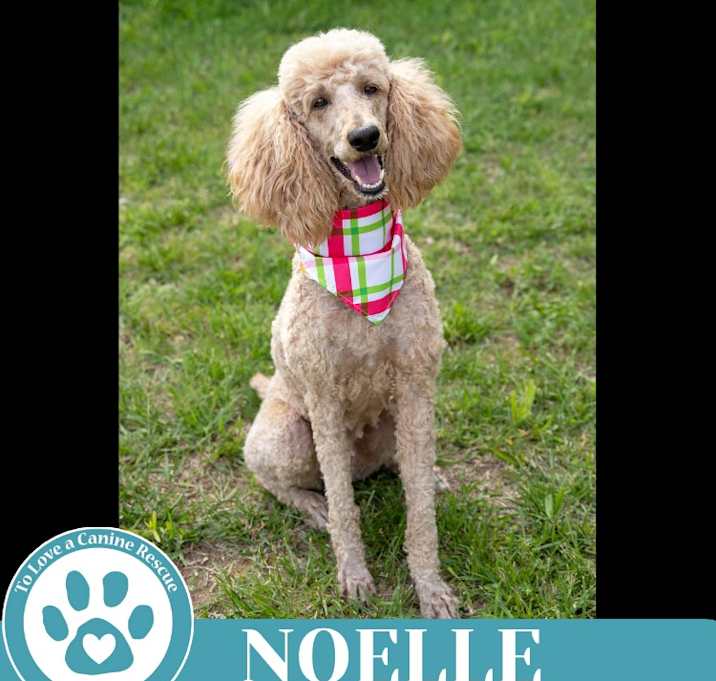 Photo of Noelle 051025