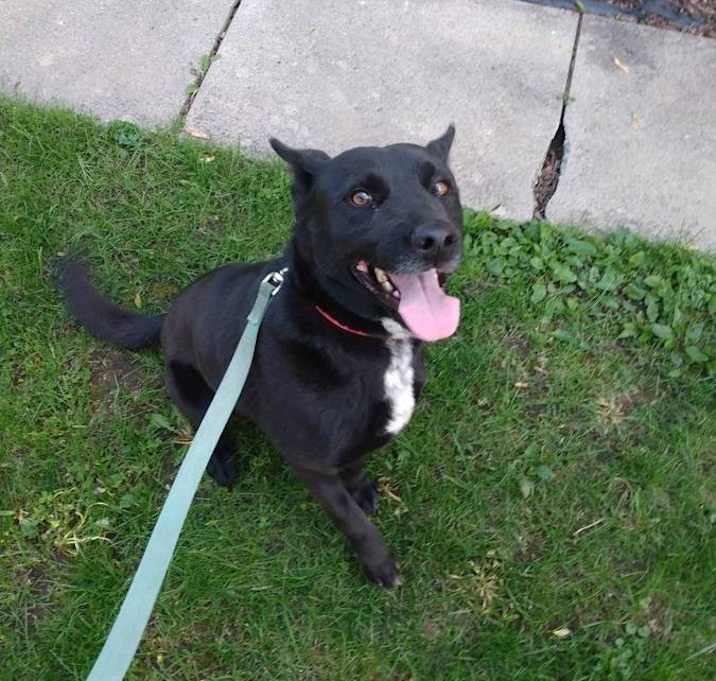 Photo of Slick