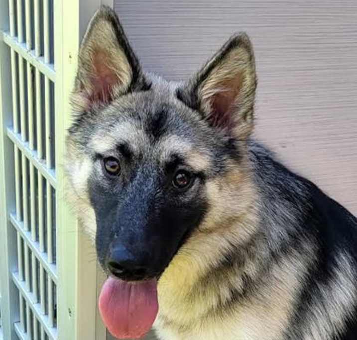 Photo of Armani