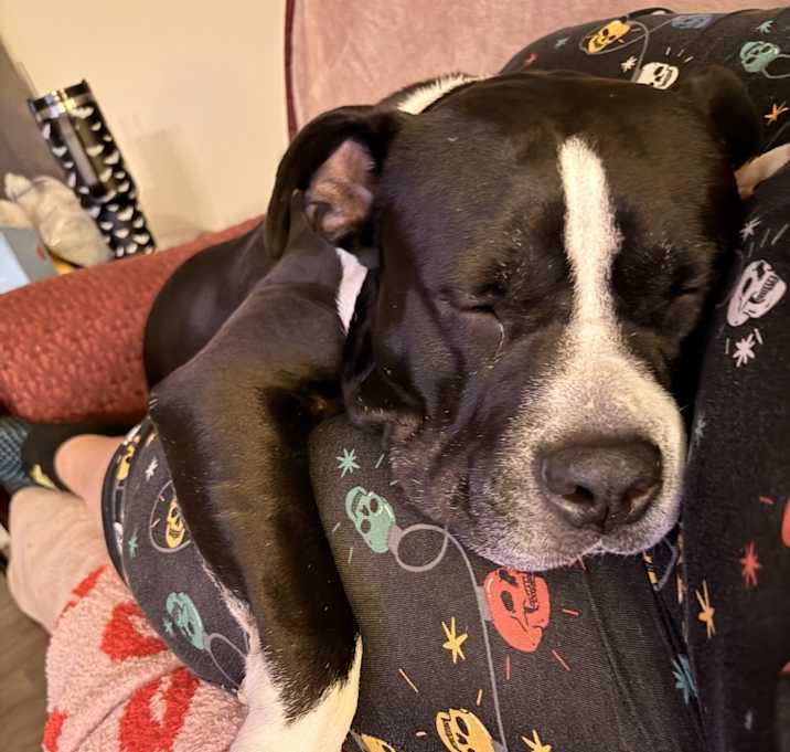 Photo of Zeus