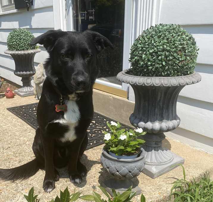 Photo of Zeus