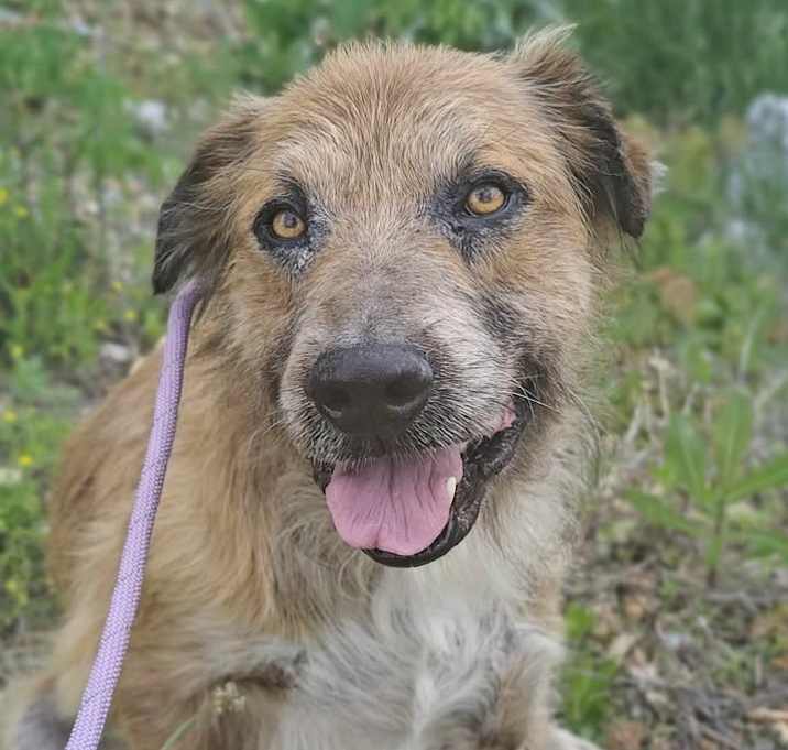 Photo of Junior