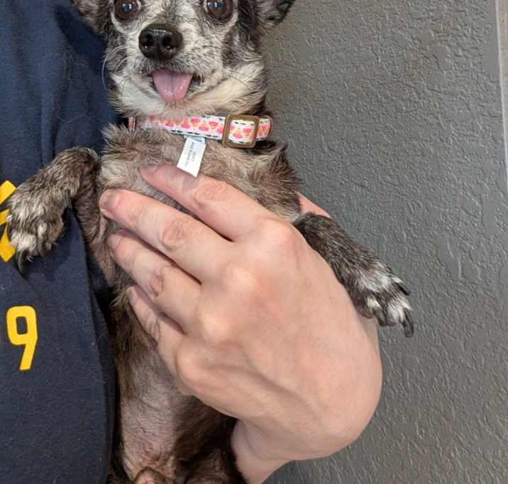 Photo of Lucky Little Man