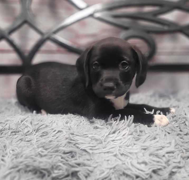 Photo of Cece