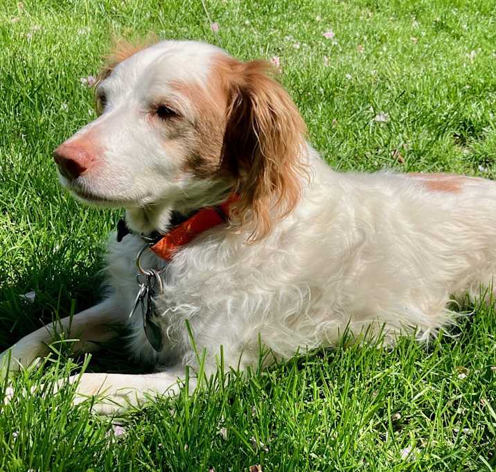 Photo of Daisy Lou