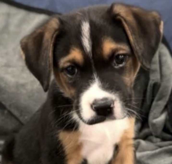 Photo of Trouble