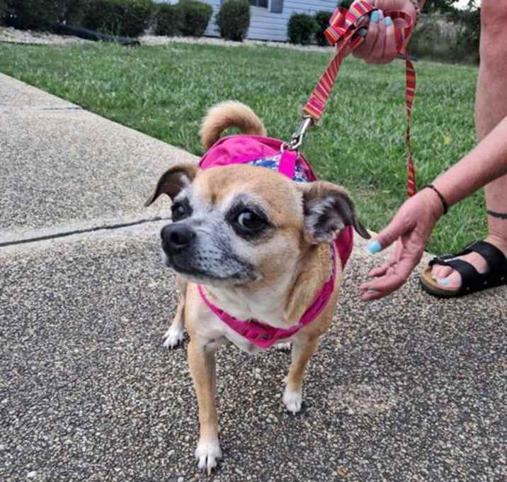 Photo of Minnie