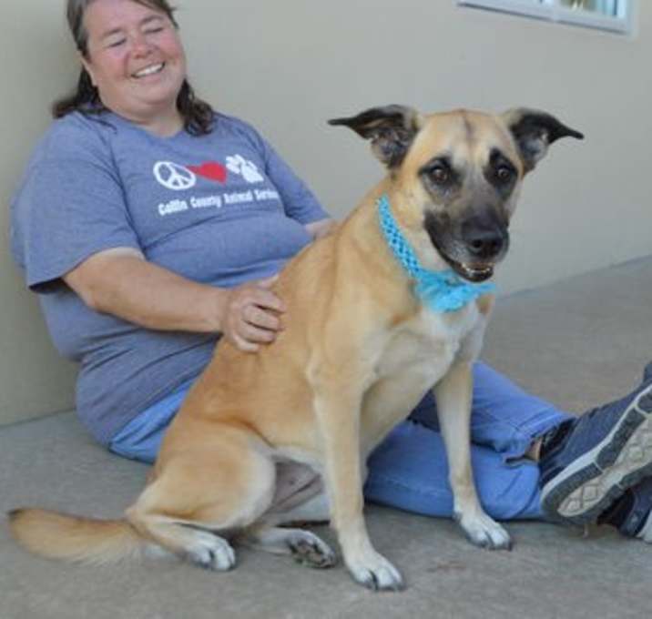Photo of Ilona (In Foster)