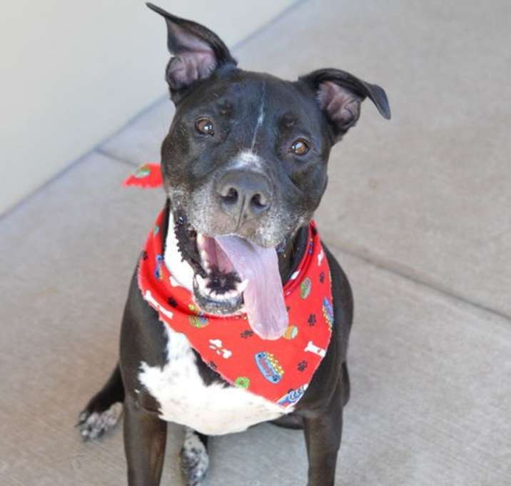 Photo of Astro