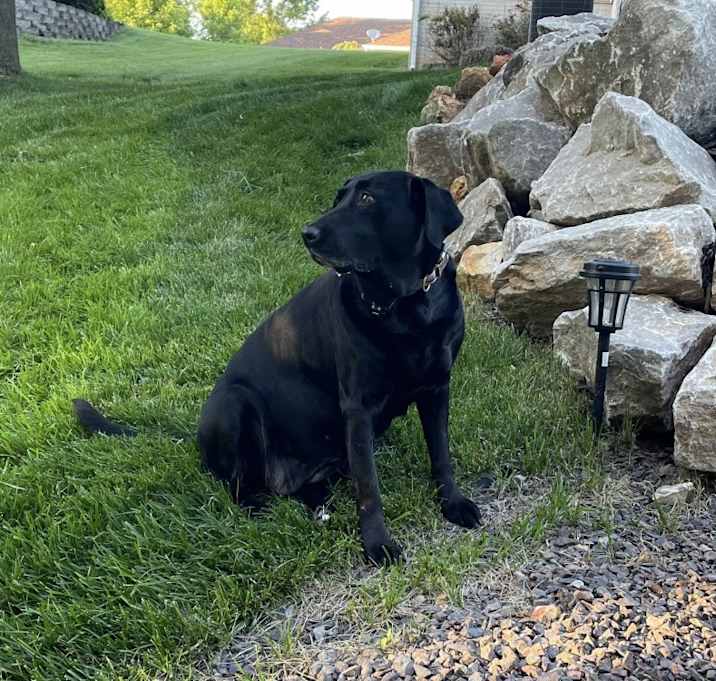 Photo of Zuri