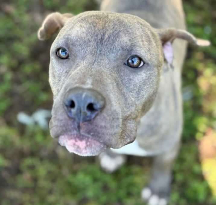 Photo of Hoss