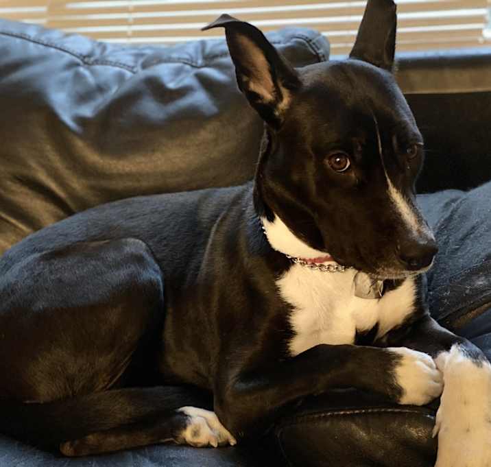 Photo of Lilly