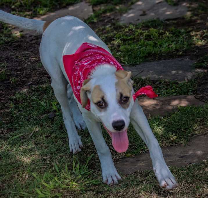 Photo of Harper