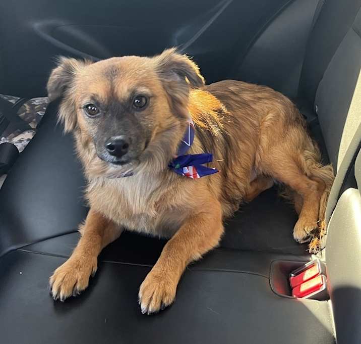 Photo of Woody