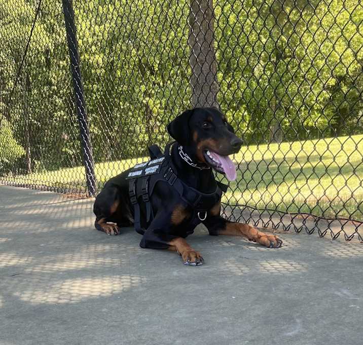 Photo of Boots