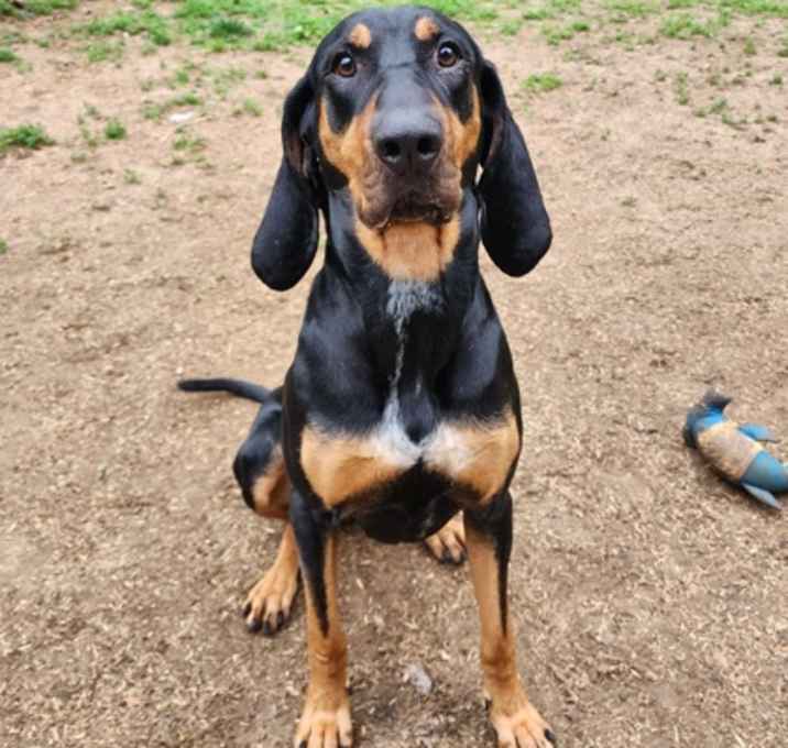 Photo of Harley