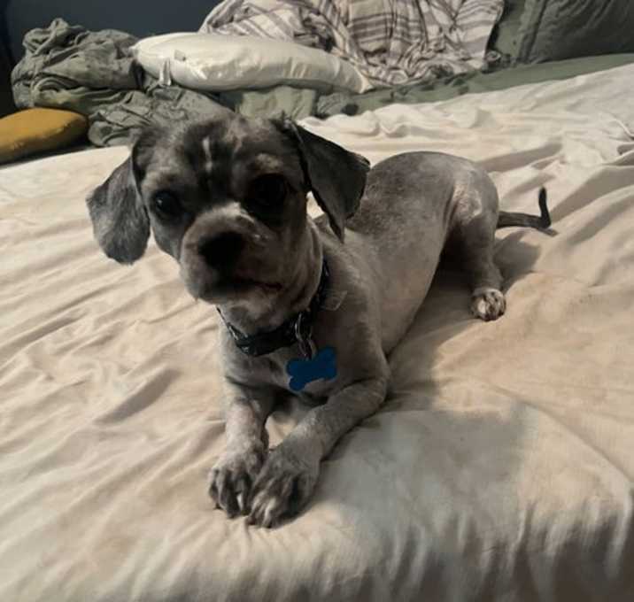 Photo of Rocket