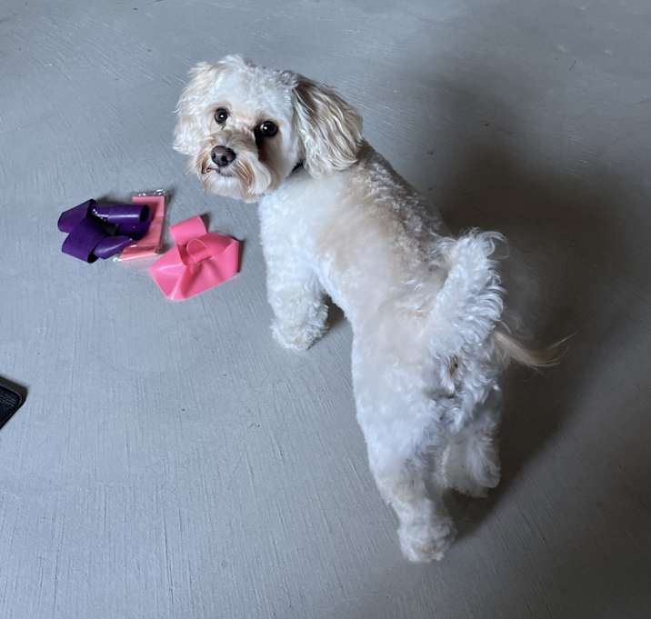 Photo of Stanley