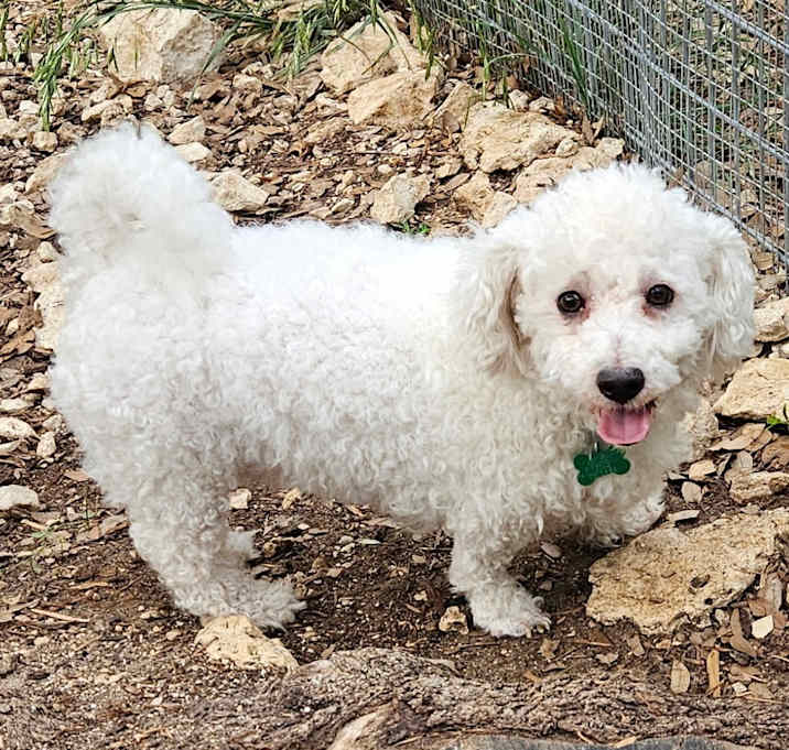 Photo of Albert