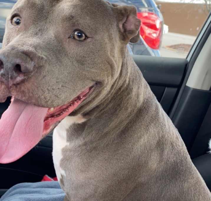 Photo of Sapphire