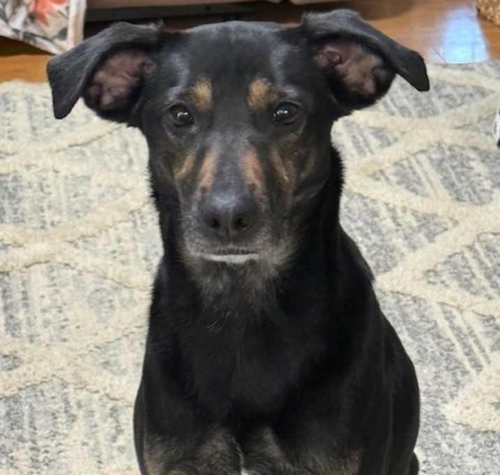 Photo of Roxie