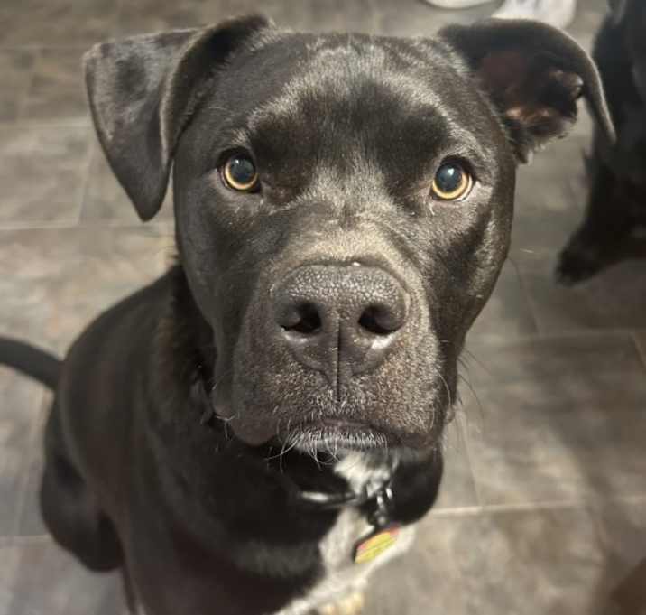 Photo of Gus