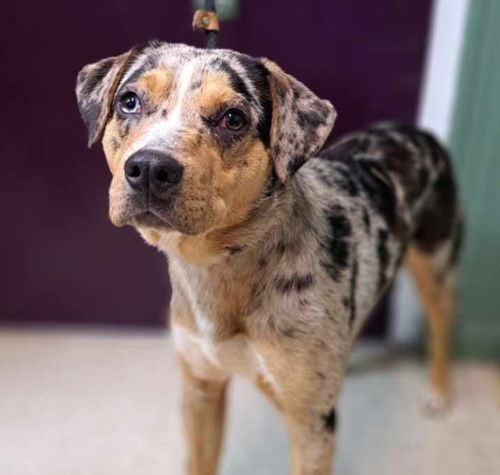 Photo of Arlo