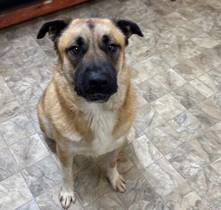 Photo of Bullseye