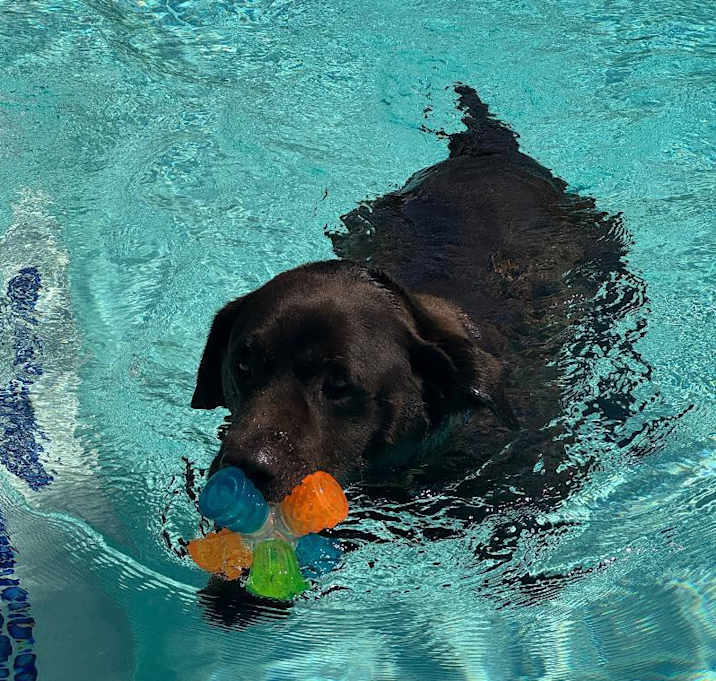 Photo of Snickers