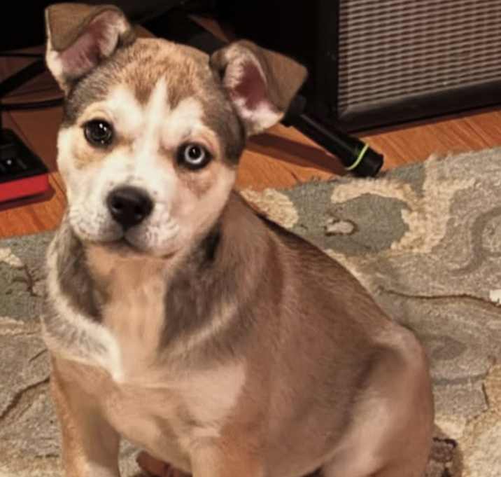 Photo of Bohdie