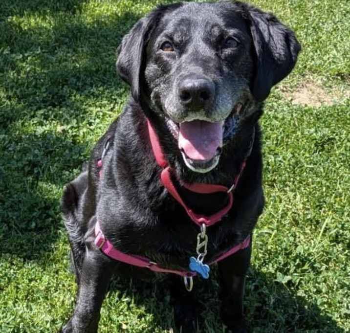 Photo of Riley