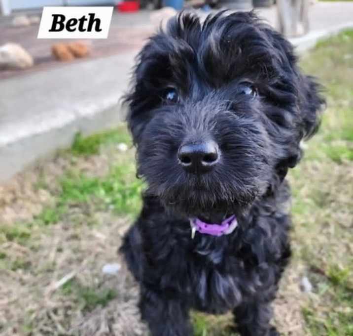 Photo of Beth