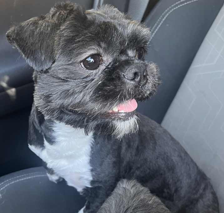 Photo of Marvin