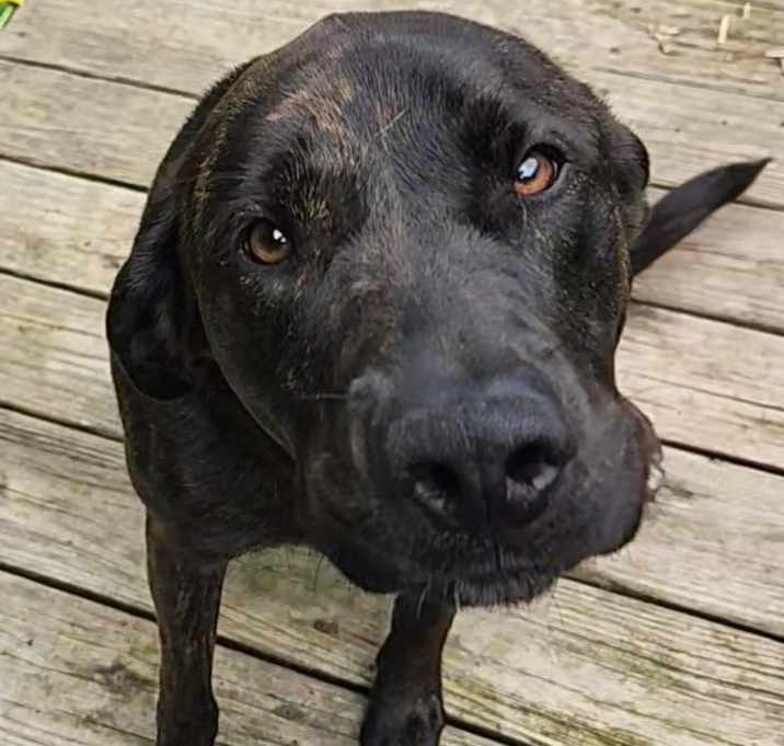 Photo of Enzo