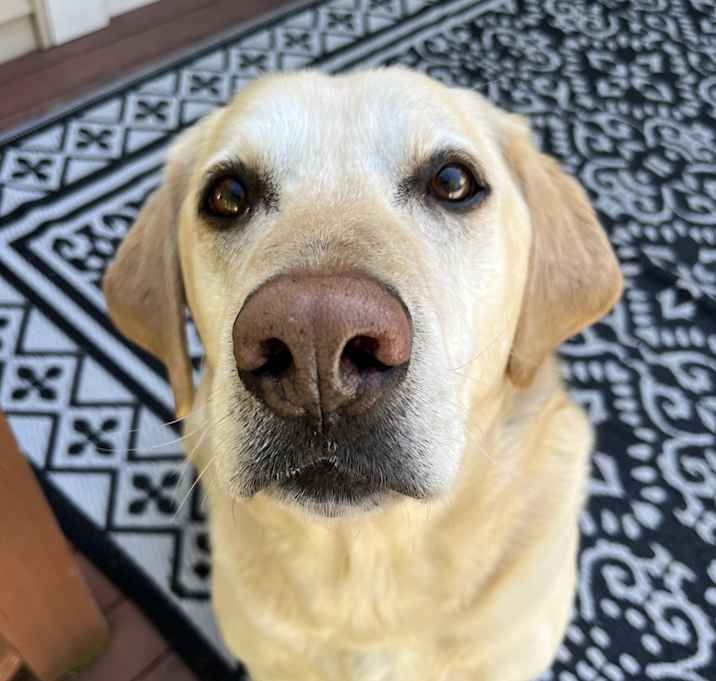 Photo of Charlie