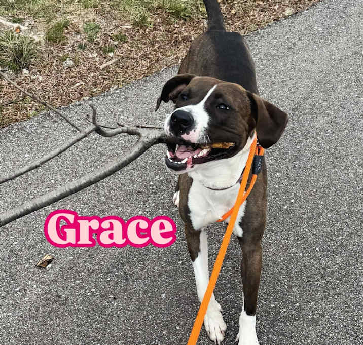 Photo of Grace