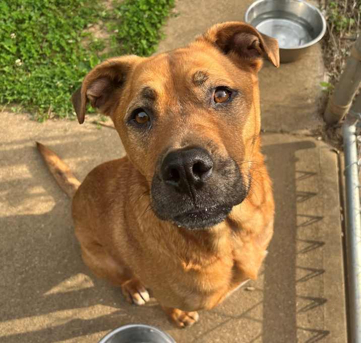 Photo of Spartacus