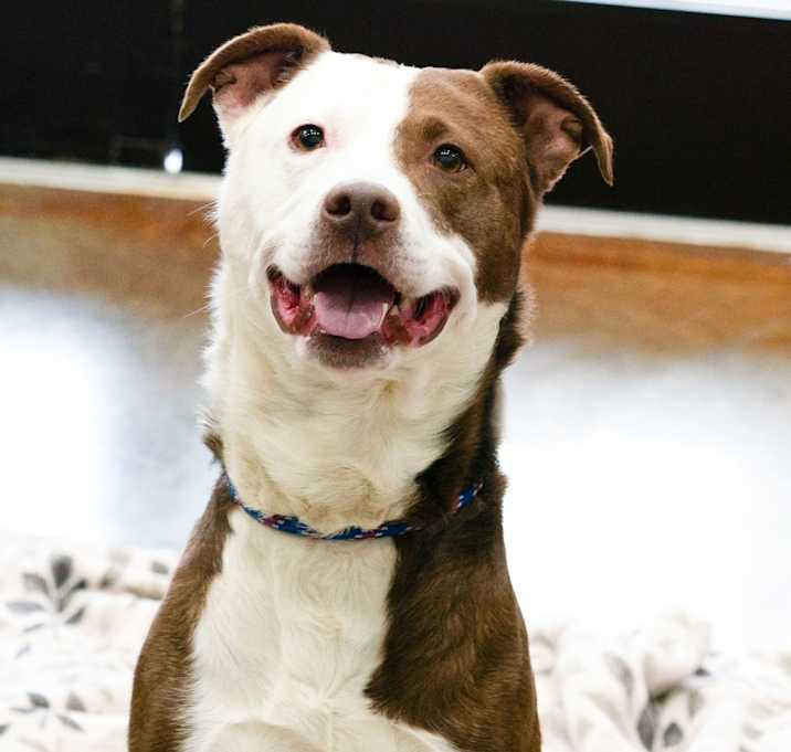 Photo of Cosmo