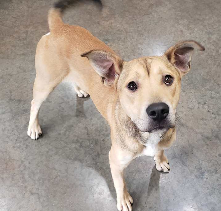 Photo of Baxter