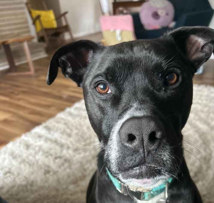 Photo of Sokka