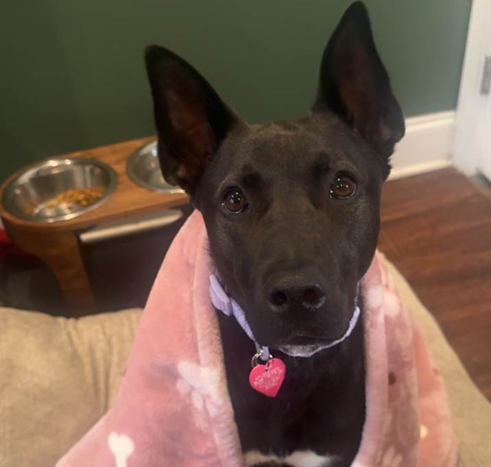 Photo of Zara