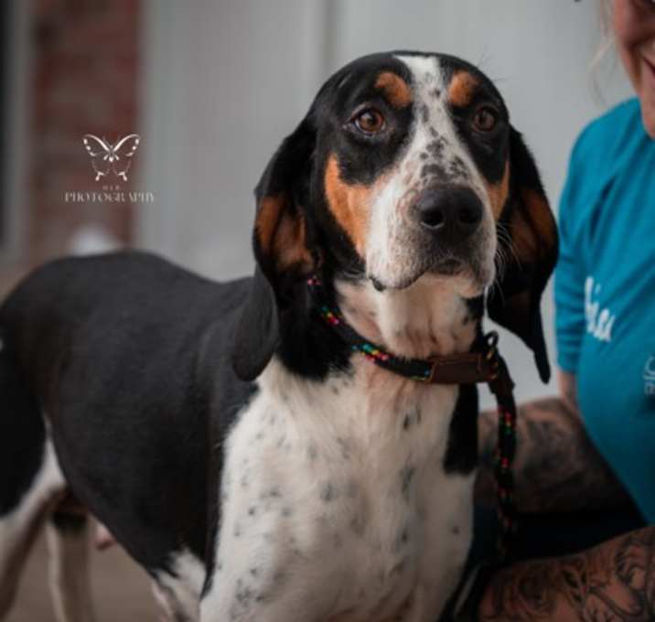 Photo of Lady Bird