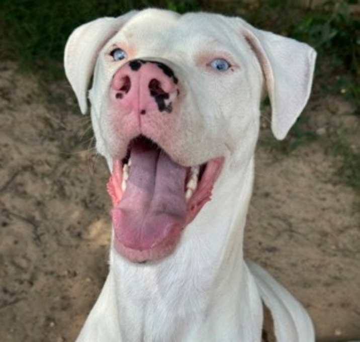 Photo of Dwayne