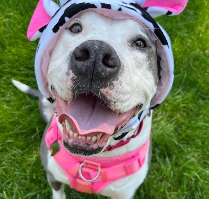 Photo of Maggie