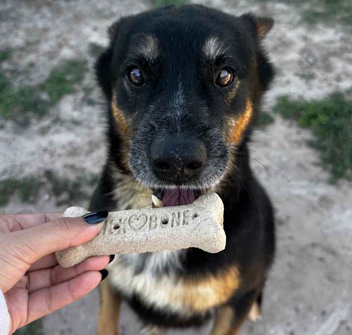 Photo of Joe