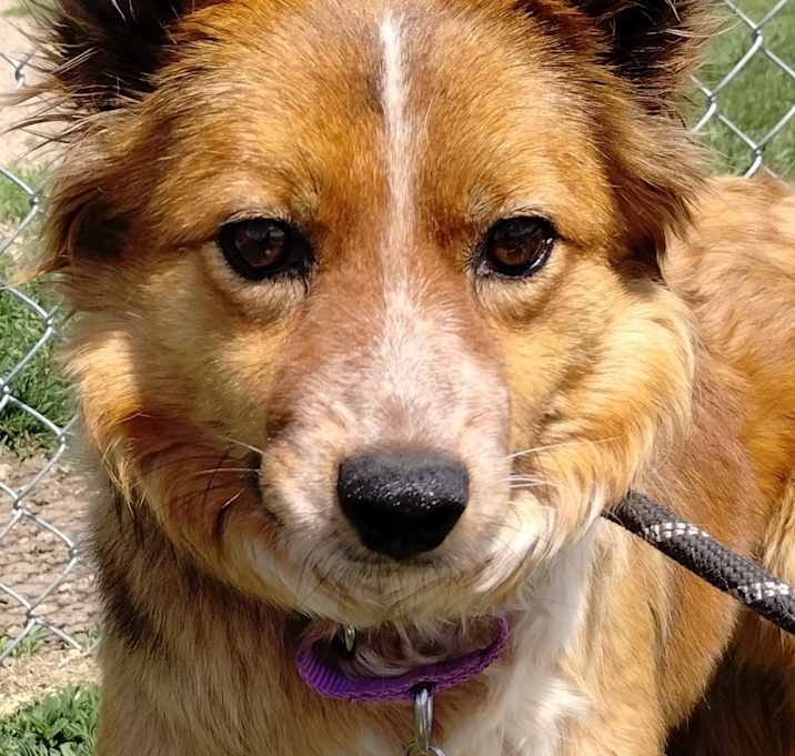 Photo of Hexie