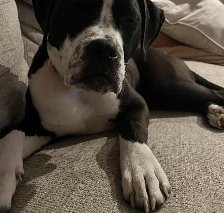 Photo of Lucy