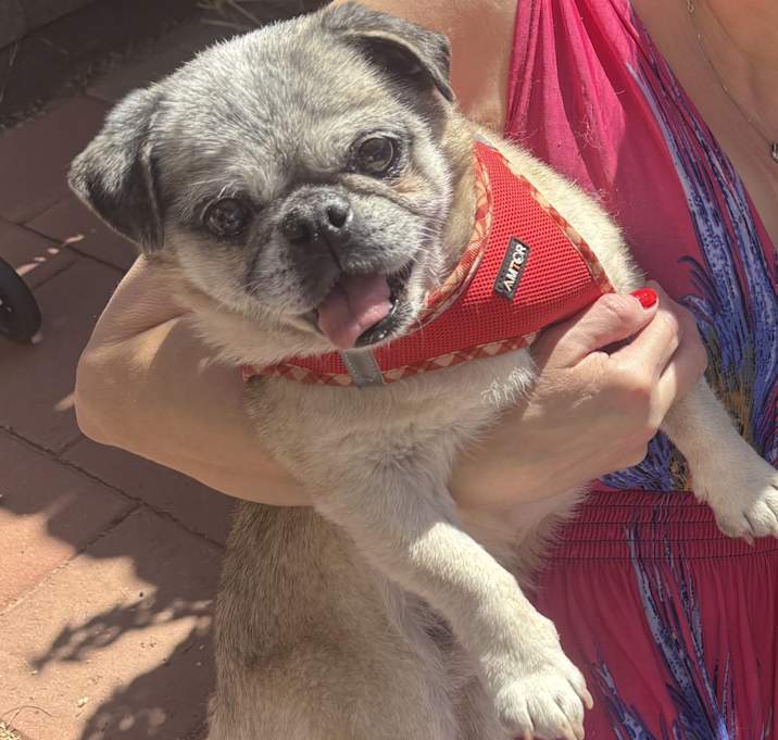 Photo of Melvin